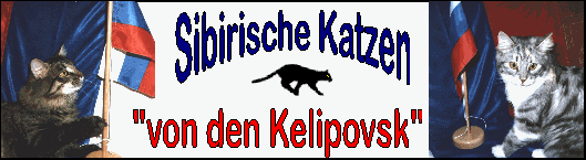 http://www.kelipovsk.de/