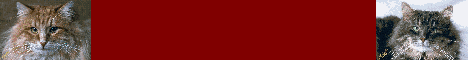 http://www.taimyr.de